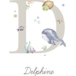 Delphine Océan 20×30