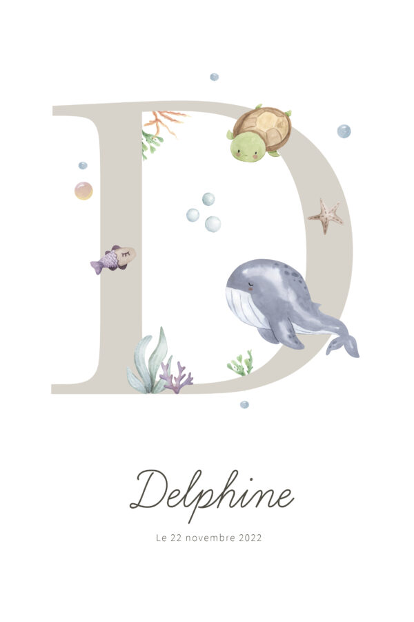 Delphine Océan 20×30